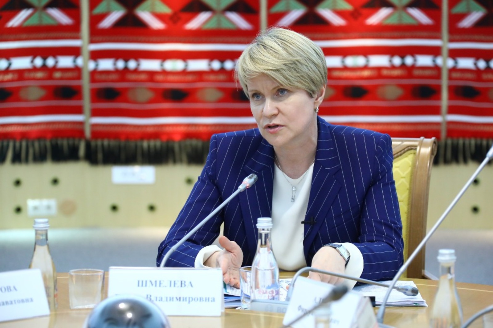 Радий Хабиров предложил Елене Шмелёвой войти в наблюдательный совет Евразийского НОЦ