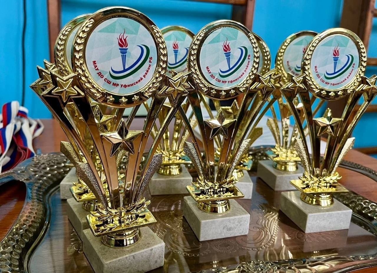 В Уфимском районе прошло первенство спортшколы по тяжёлой атлетике