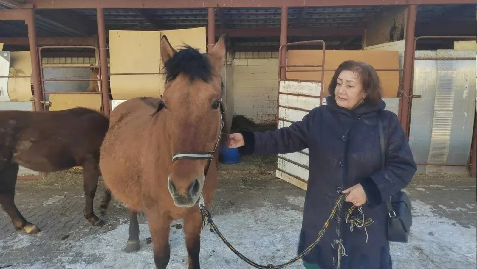Радий Хабиров в своей рубрике #ЖЗЛ_Башкортостан рассказал об Ираиде Ахатовой