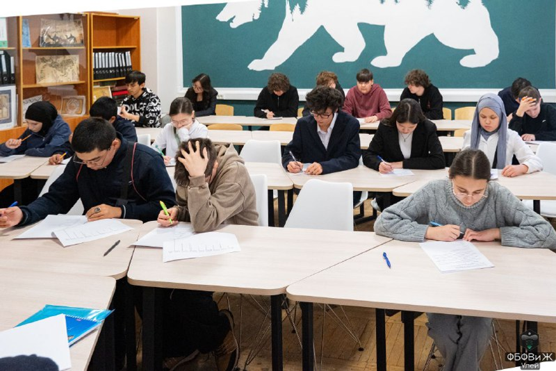 Школьник Уфимского района - призёр Республиканской олимпиады по турецкому языку