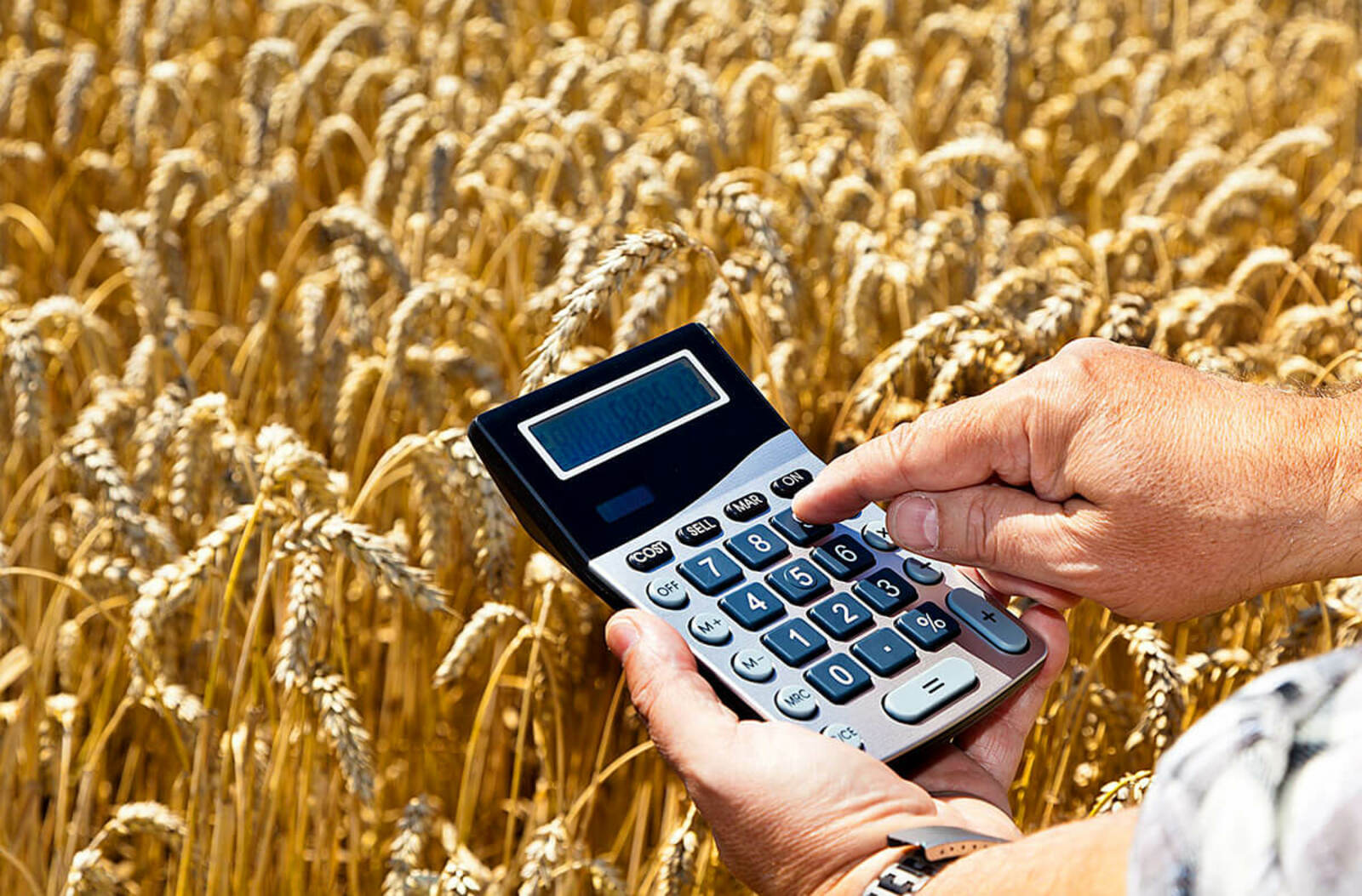 Производителям зерна в Башкирии компенсируют около 600 млн рублей затрат