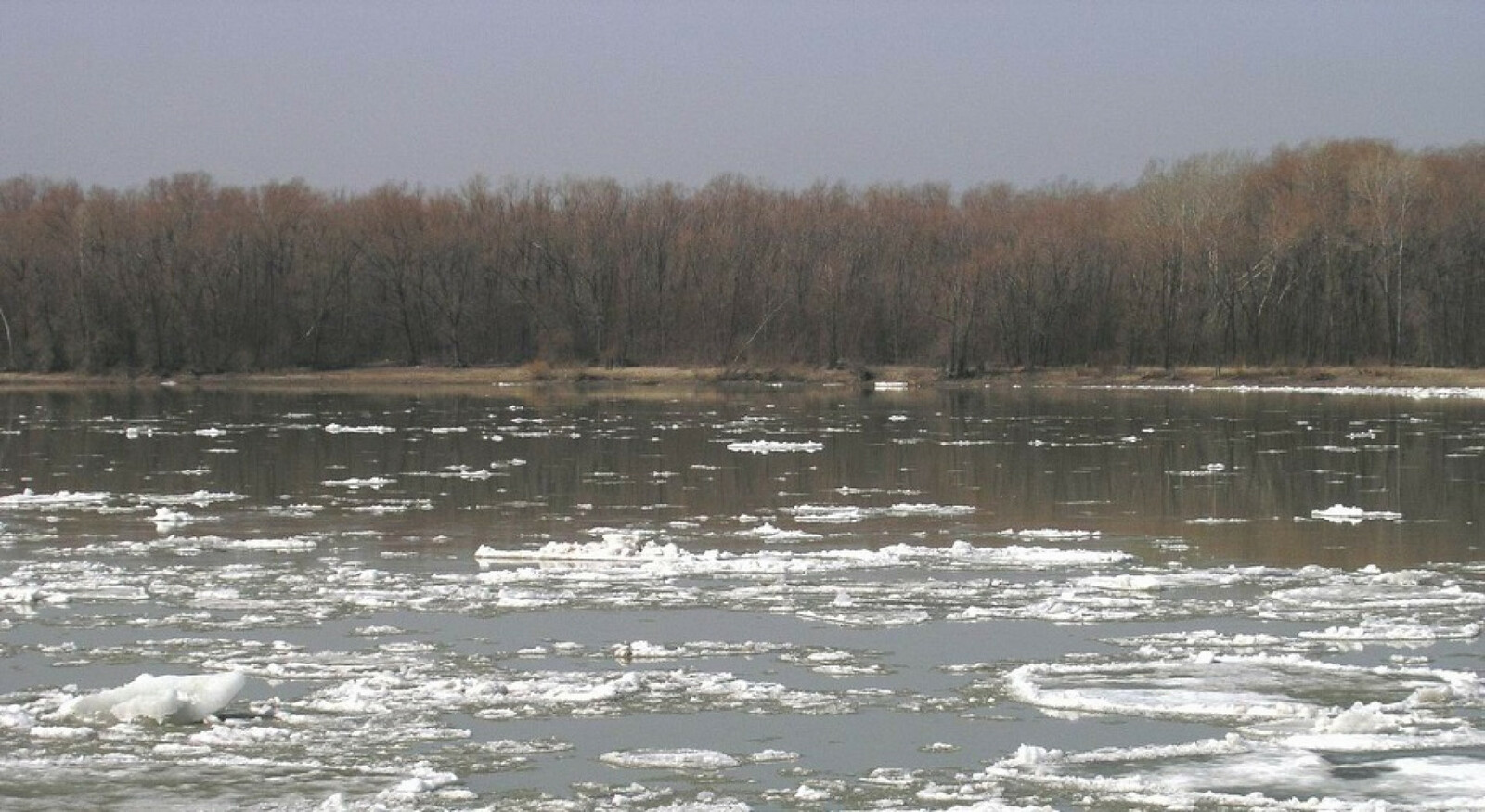 В Башкирии за сутки вода на реках поднялась на более полметра