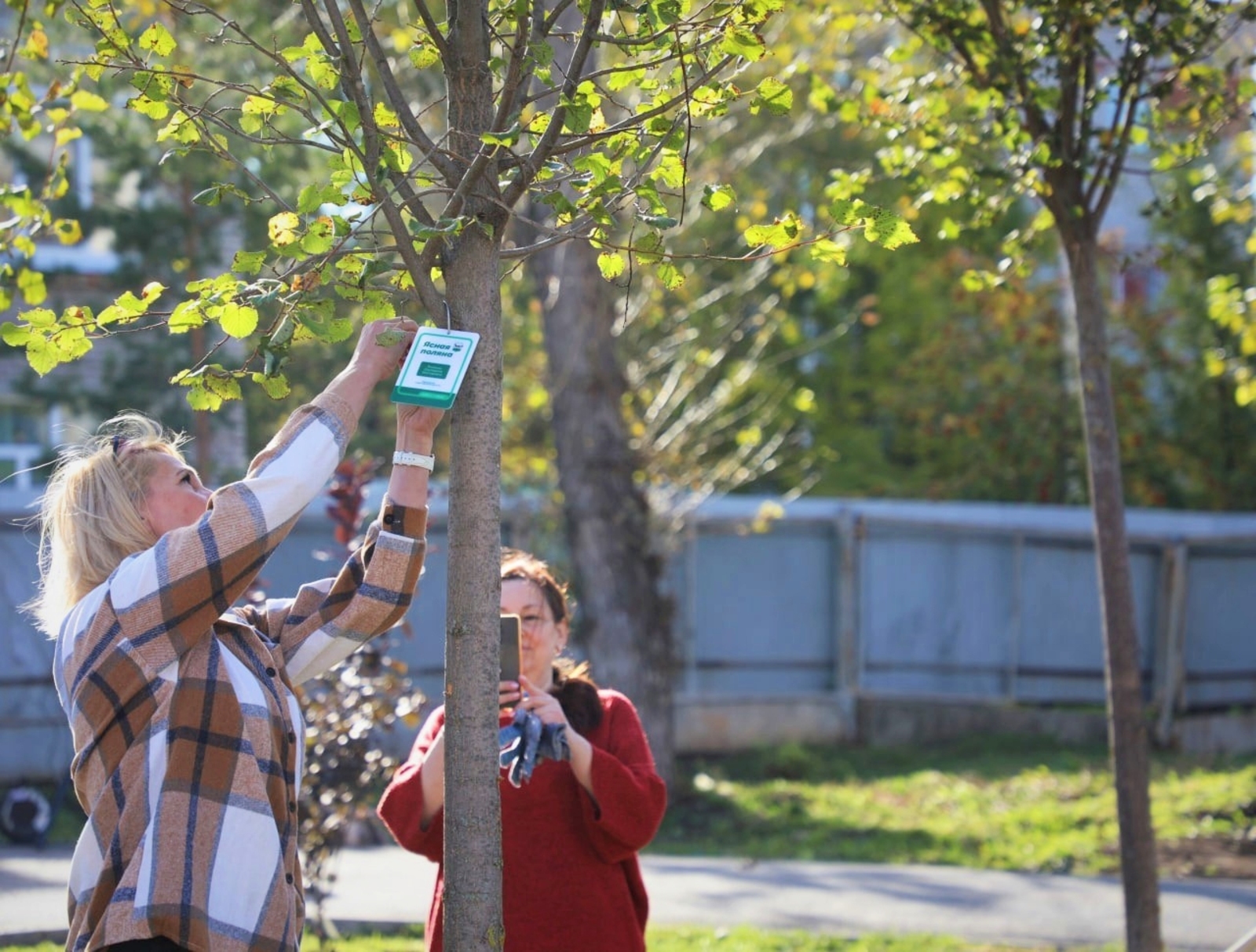 Уфа готовится к масштабной уборке и озеленению