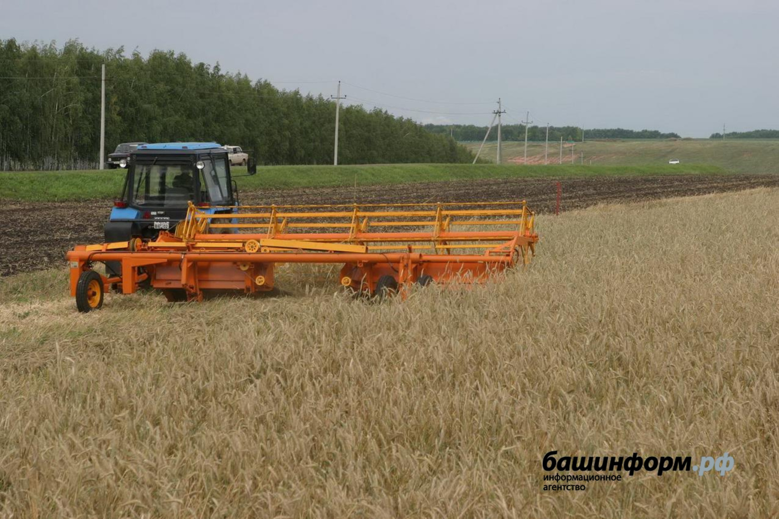 Власти Башкирии предусмотрели 173 млн рублей на возмещение затрат сельхозкооперативов