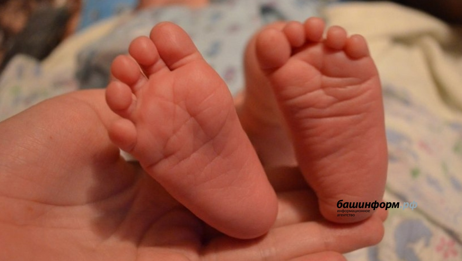 В Башкирии родились Мумина и Сархан