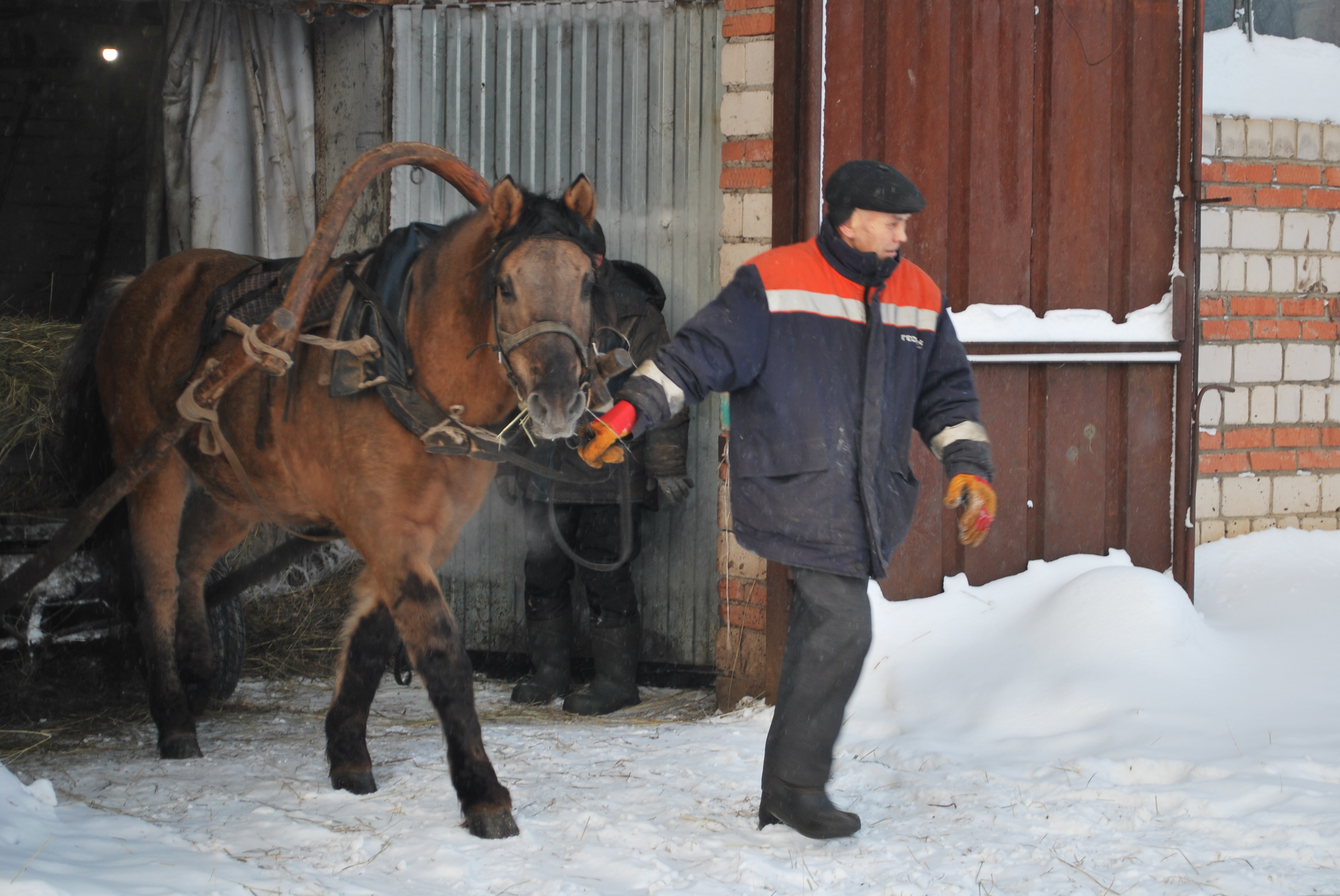 Живые символы года