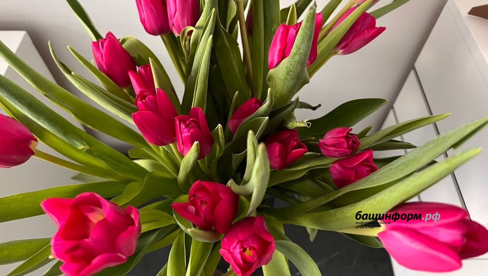 В Башкирии женщина потеряла более 85 тысяч рублей на покупке 1500 тюльпанов