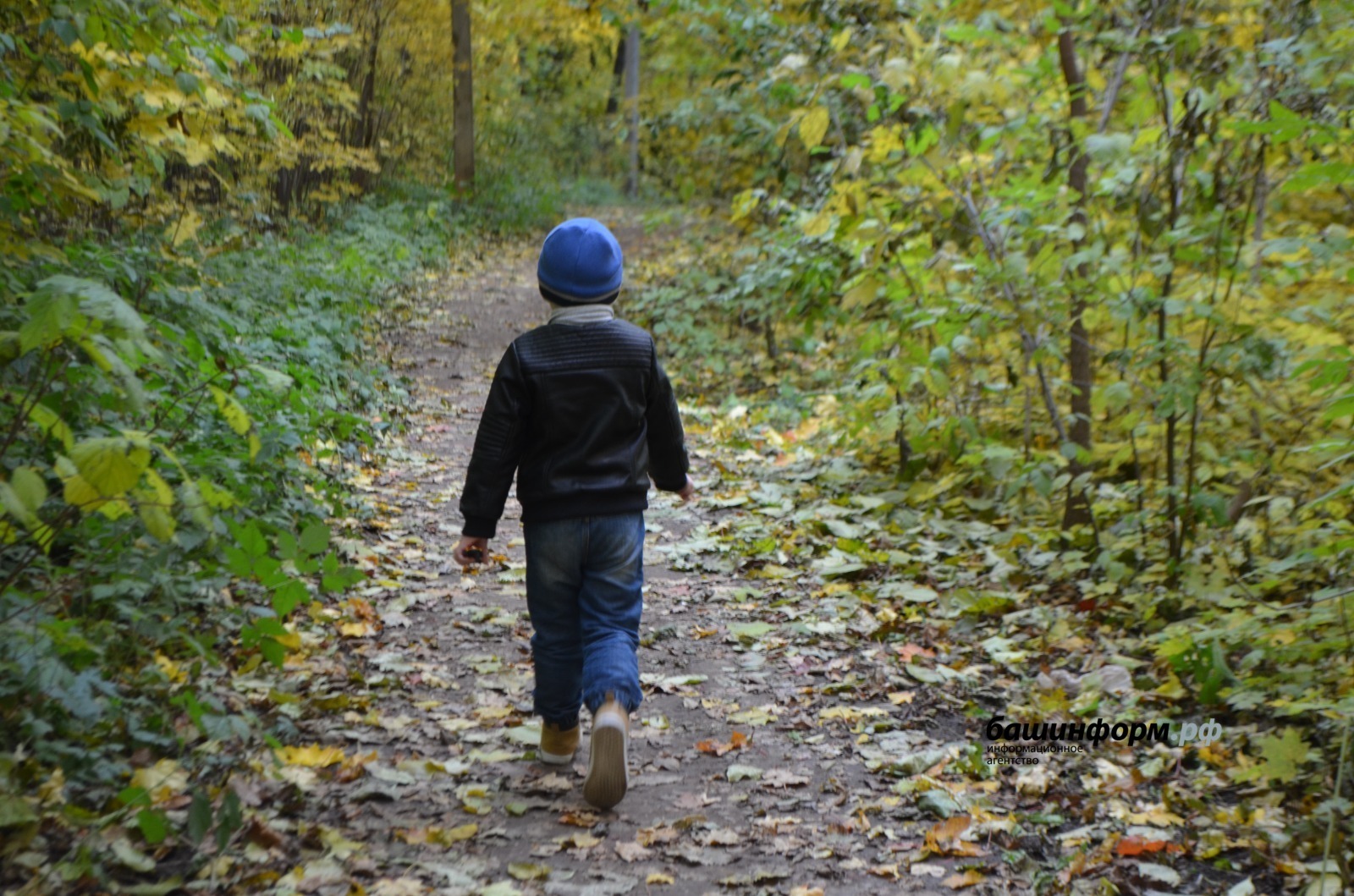 В Башкирии отменен особый противопожарный режим в лесах
