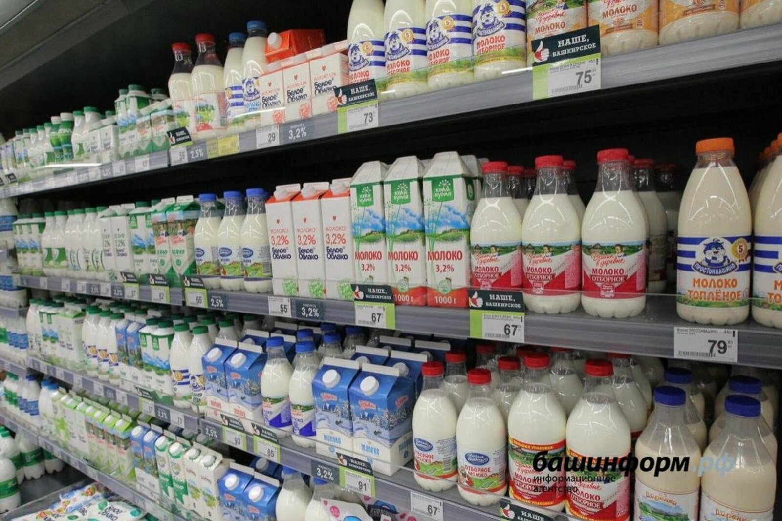 Башкирия лидирует в ПФО по количеству производителей маркированной молочной продукции