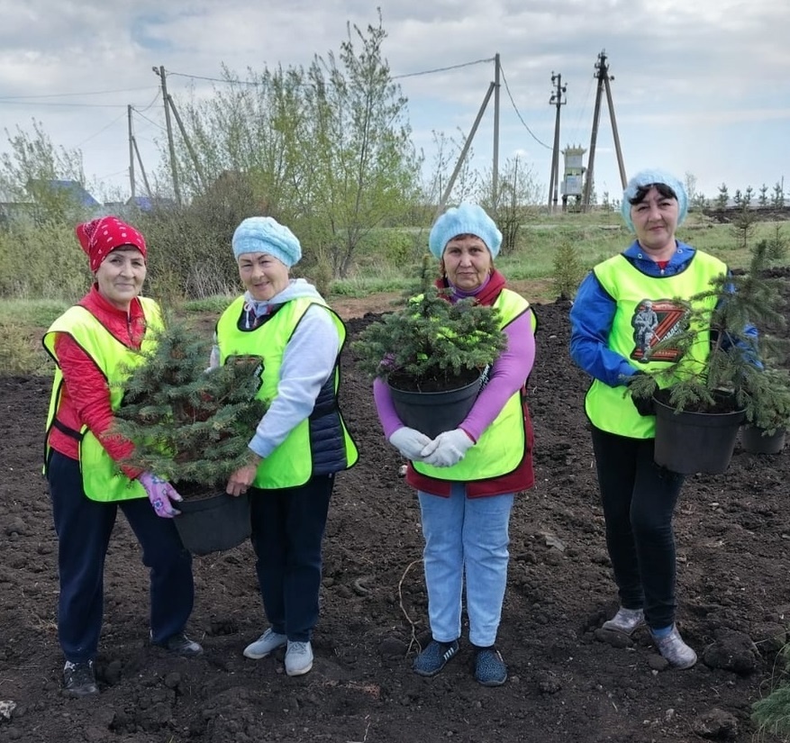 В Уфимском районе заложили еловую аллею «Бурелэр Za»