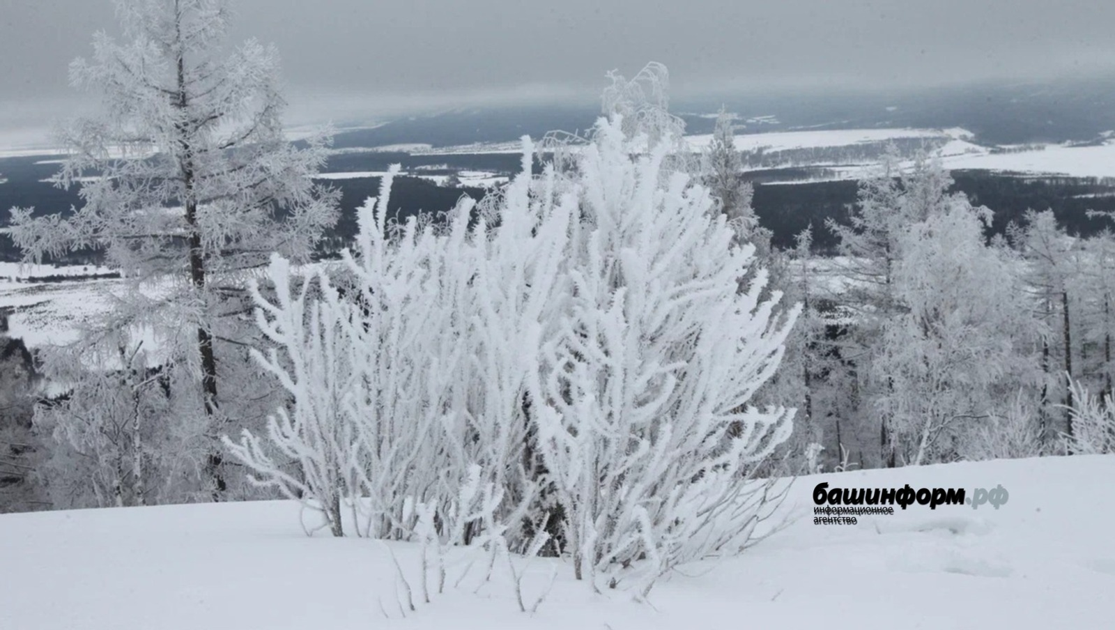 В Башкирии в начале февраля сохранится умеренно прохладная погода