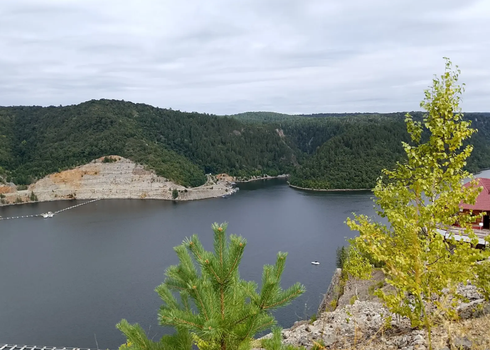 Аллерголог из Уфы рассказала, как пережить сезон цветения березы в Башкирии