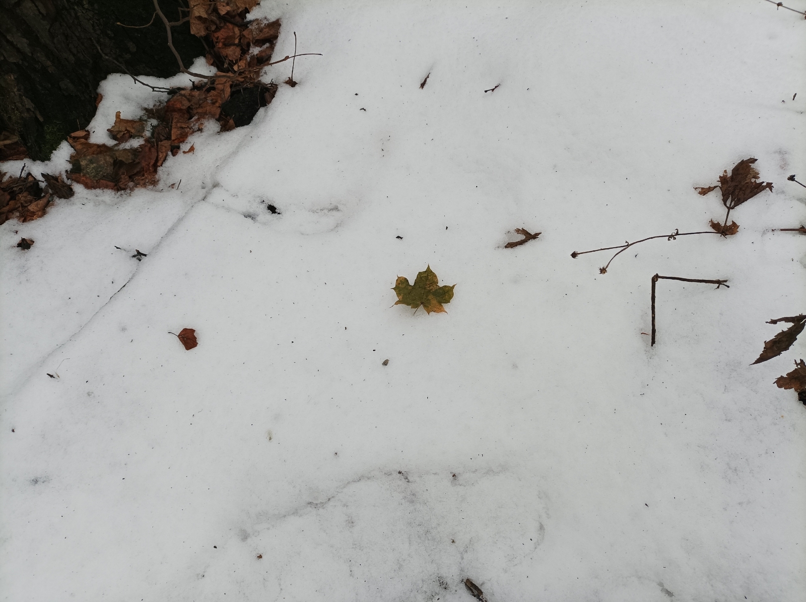 В Башкирии ожидается потепление с осадками и гололёдом