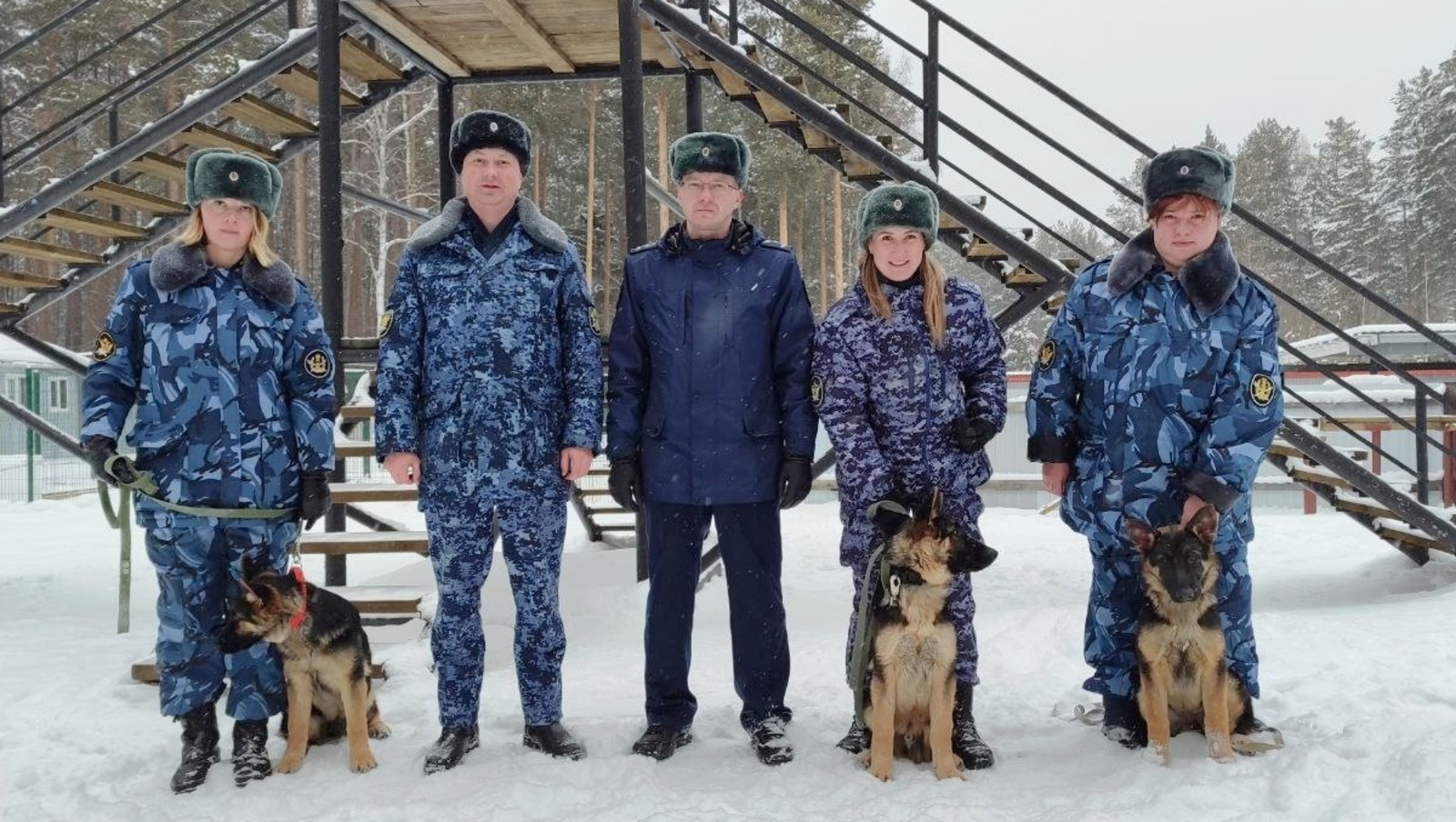 Щенки немецкой овчарки из Первоуральска начнут службу в Башкирии