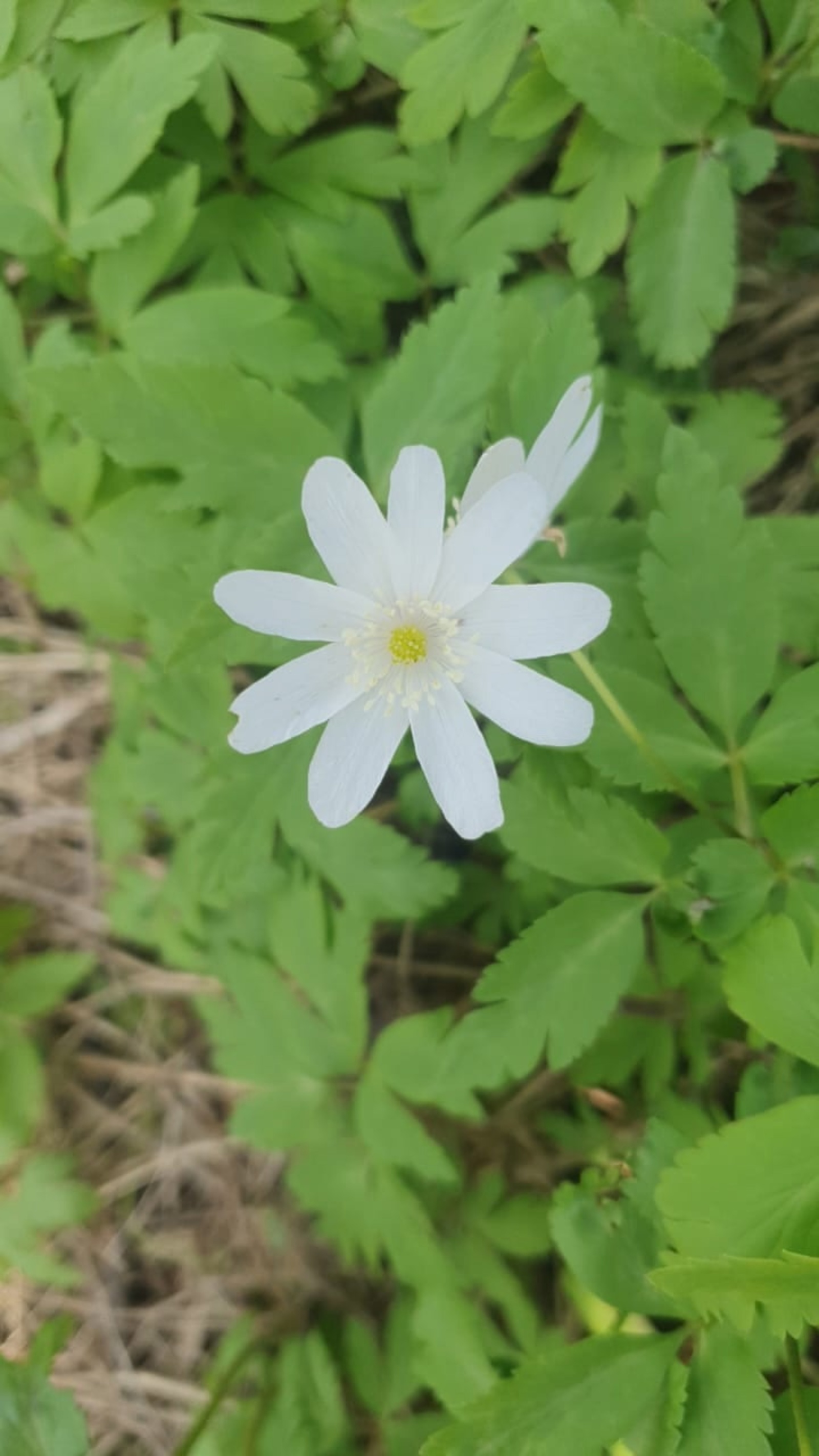 В Башкирии ожидается переменчивая погода с дождями и грозами