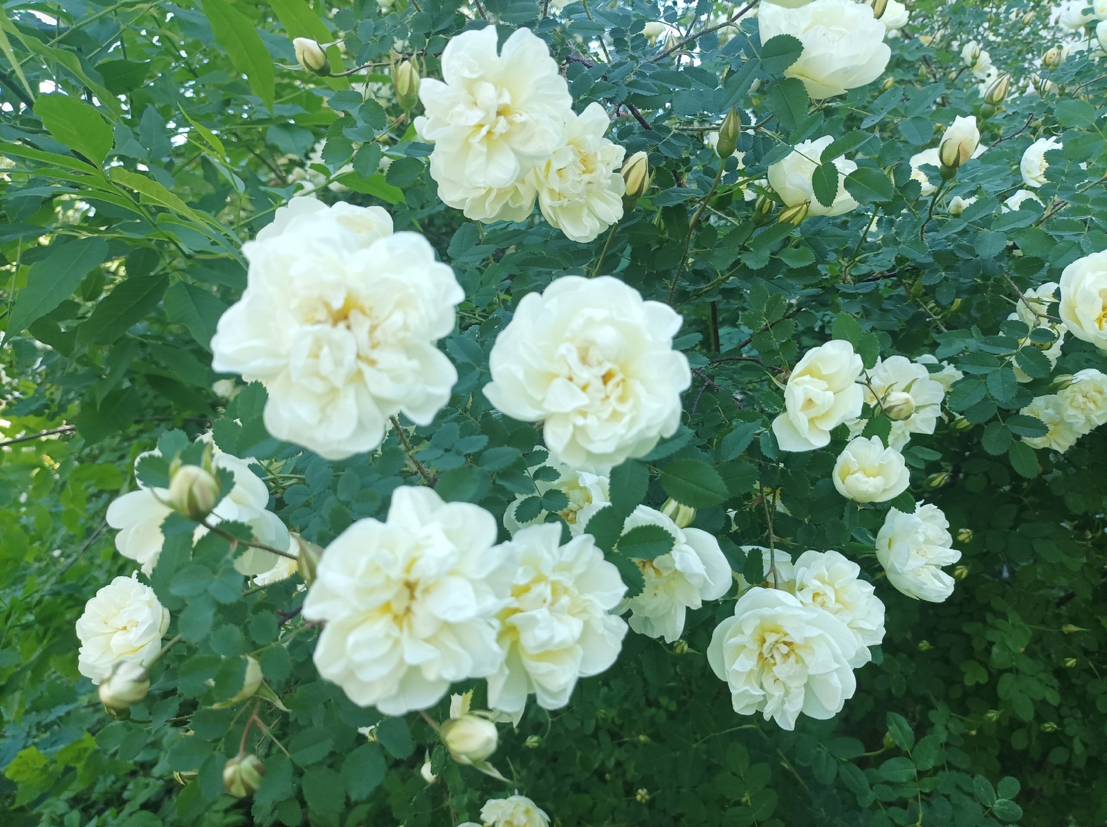 В Башкирии сохраняется дождливая погода с грозами