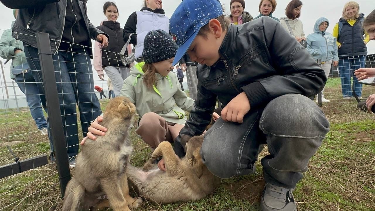 В Уфимском районе прошла акция «Дай лапу, друг!»