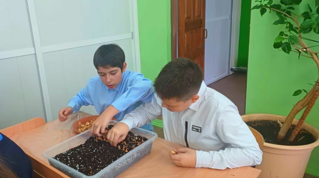 В школе имени С.С. Ильина села Жуково работает агрокласс