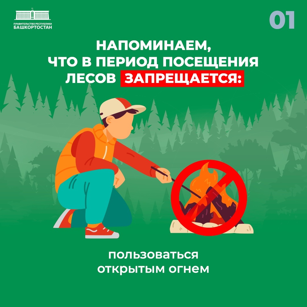 На территории лесного фонда Башкирии начался пожароопасный сезон