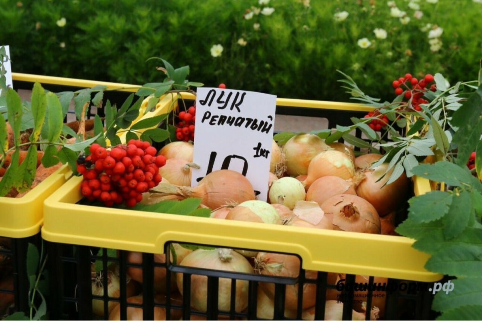 В Башкирии начали снижаться цены на продовольственные товары