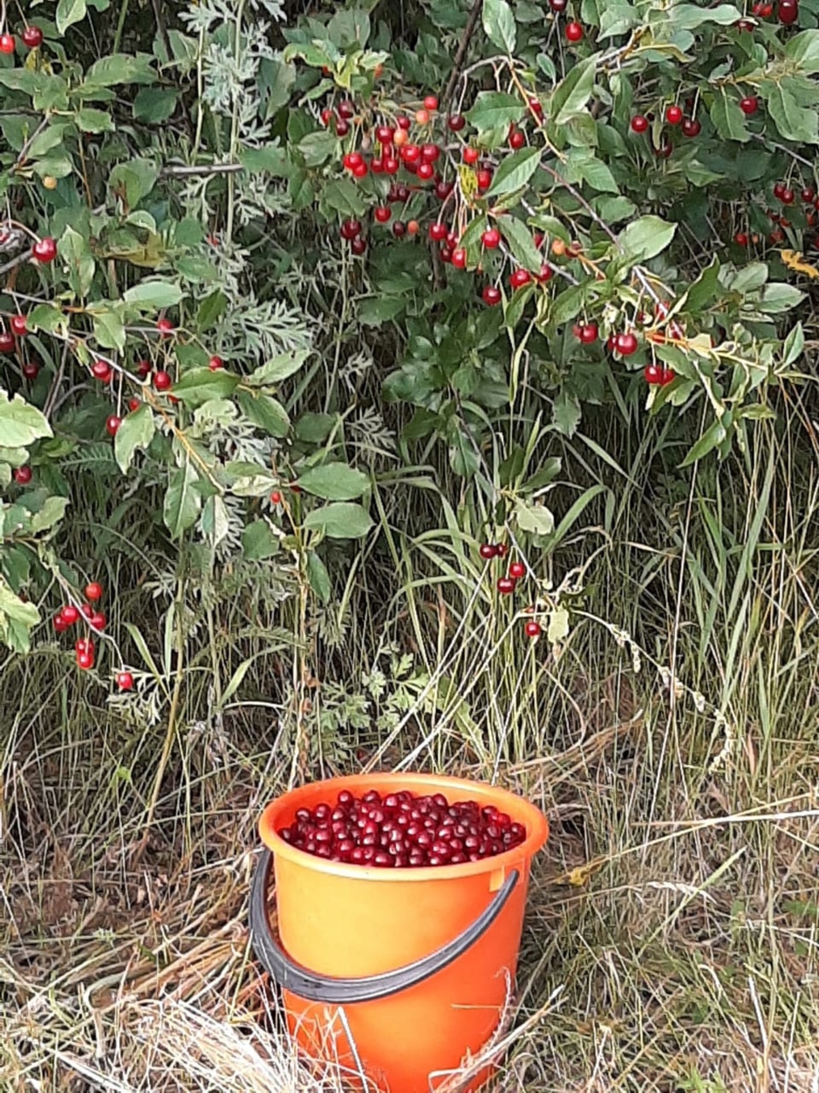 В Башкирии ожидается аномальная жара до +31°С