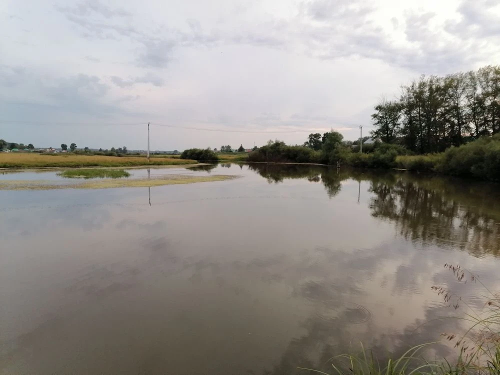 Жителям Башкирии в прямом эфире  расскажут о паводковой ситуации