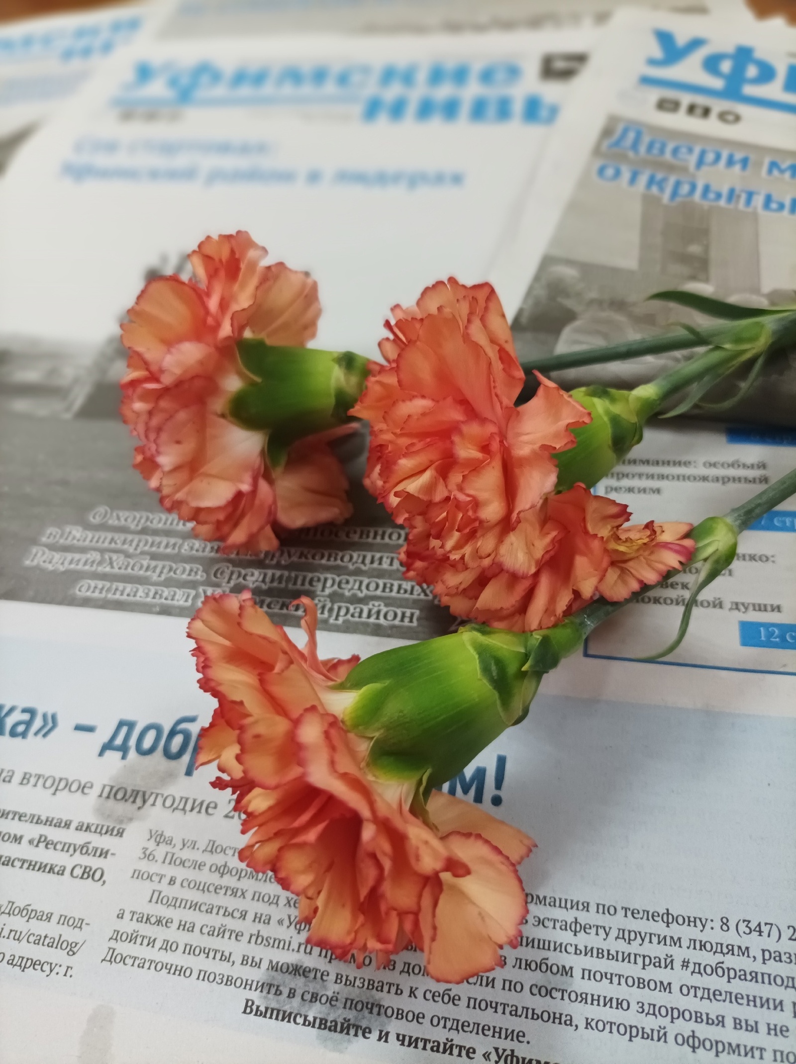 «Уфимские нивы» объявляют флешмоб Победы