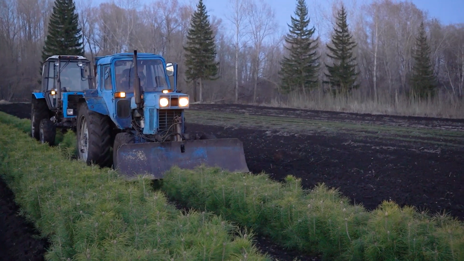 Глава Башкирии поблагодарил жителей за участие в акциях по озеленению республики