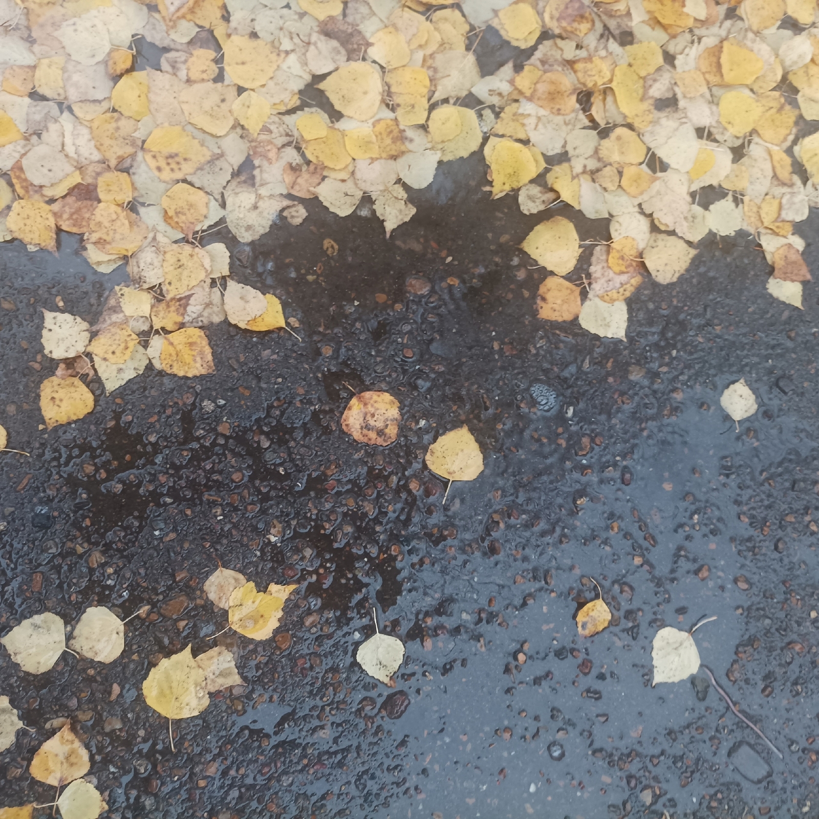 В Башкирии ожидаются осадки и похолодание в праздничные дни