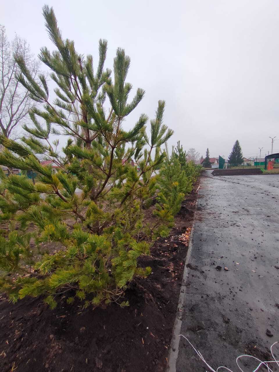 Жители Уфимского района приняли участие в экологической акции «Зелёная Башкирия»