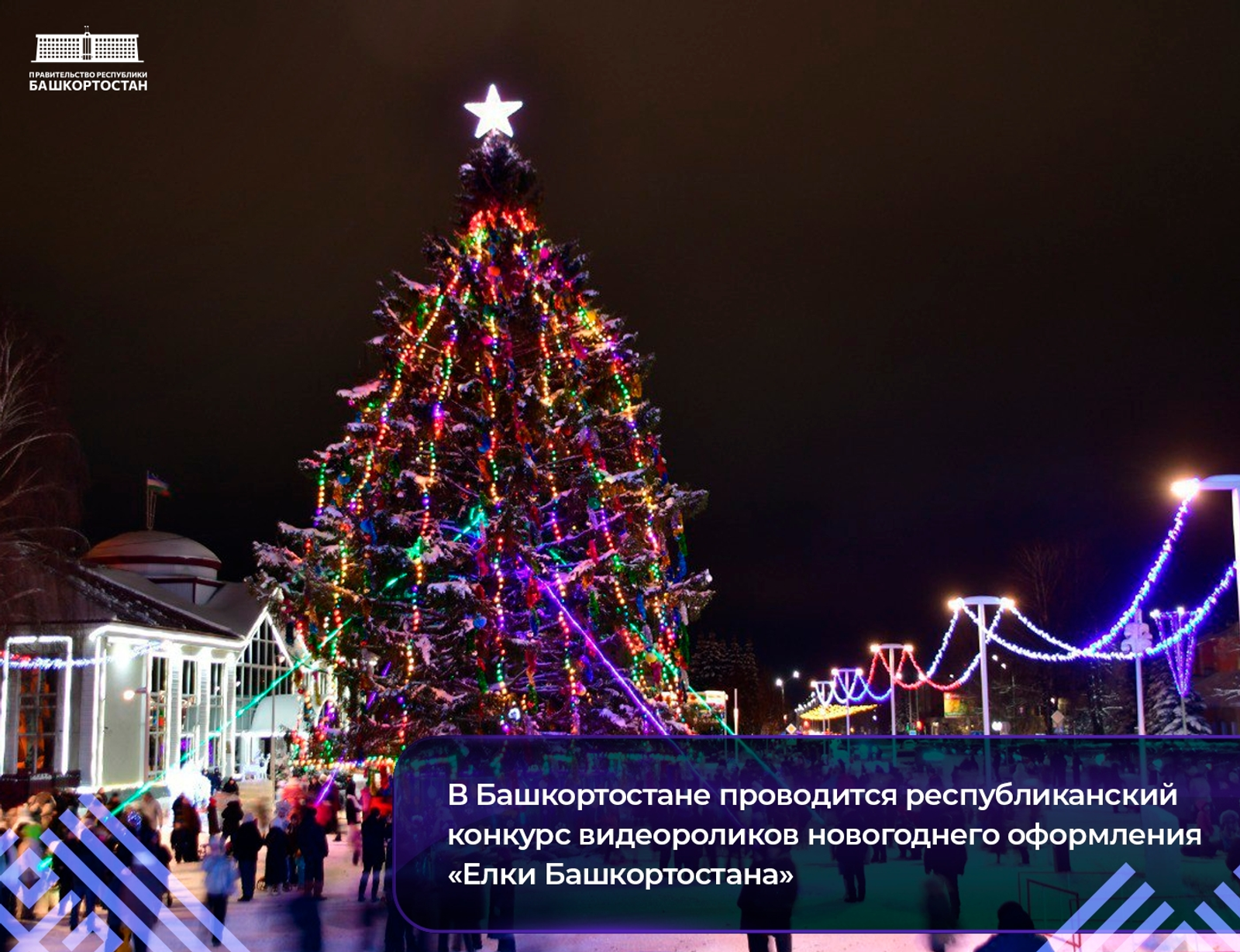 В Башкирии проходит республиканский конкурс «Елки Башкортостана»