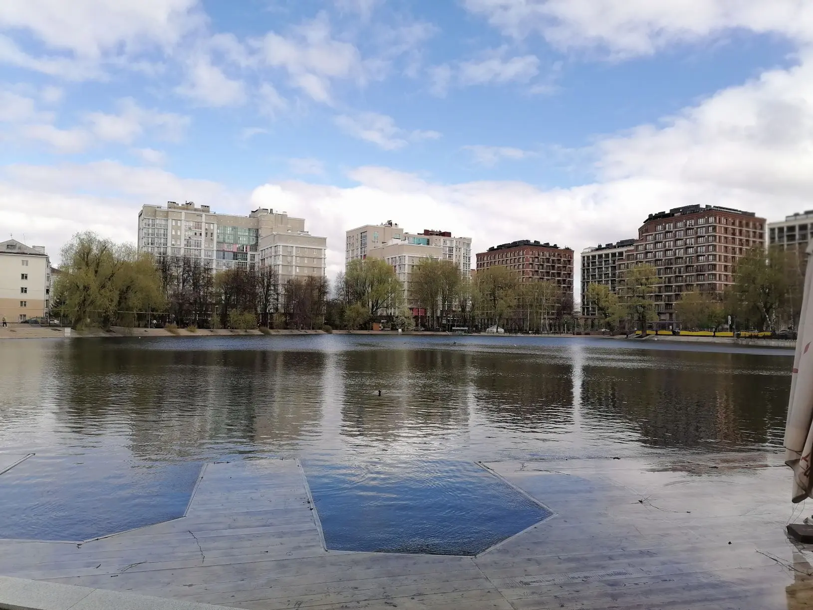 В парке Уфы зацвела яблоня