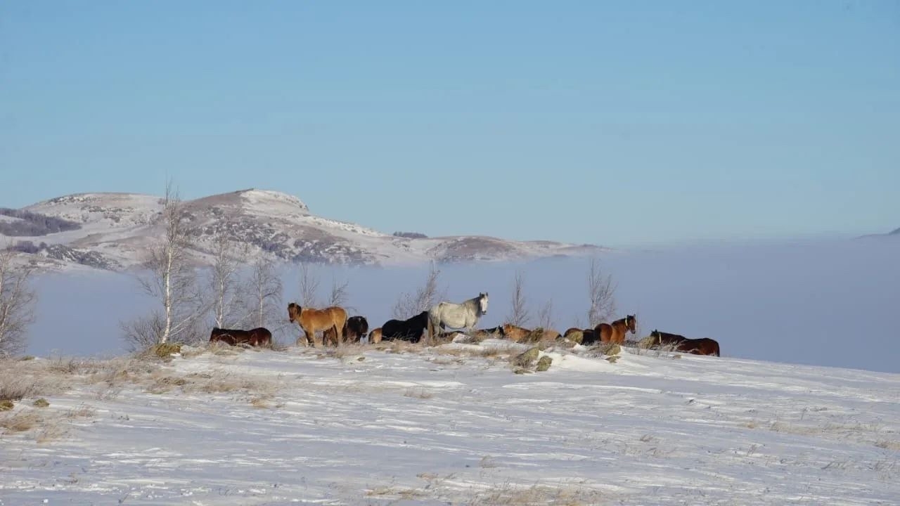 Радий Хабиров опубликовал в своих соцсетях необычные фото