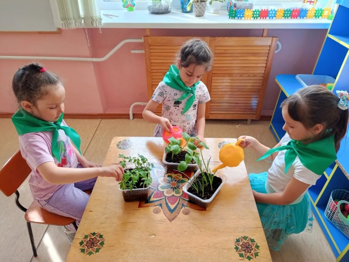 В детском саду Уфимского района выращивают огород на окне