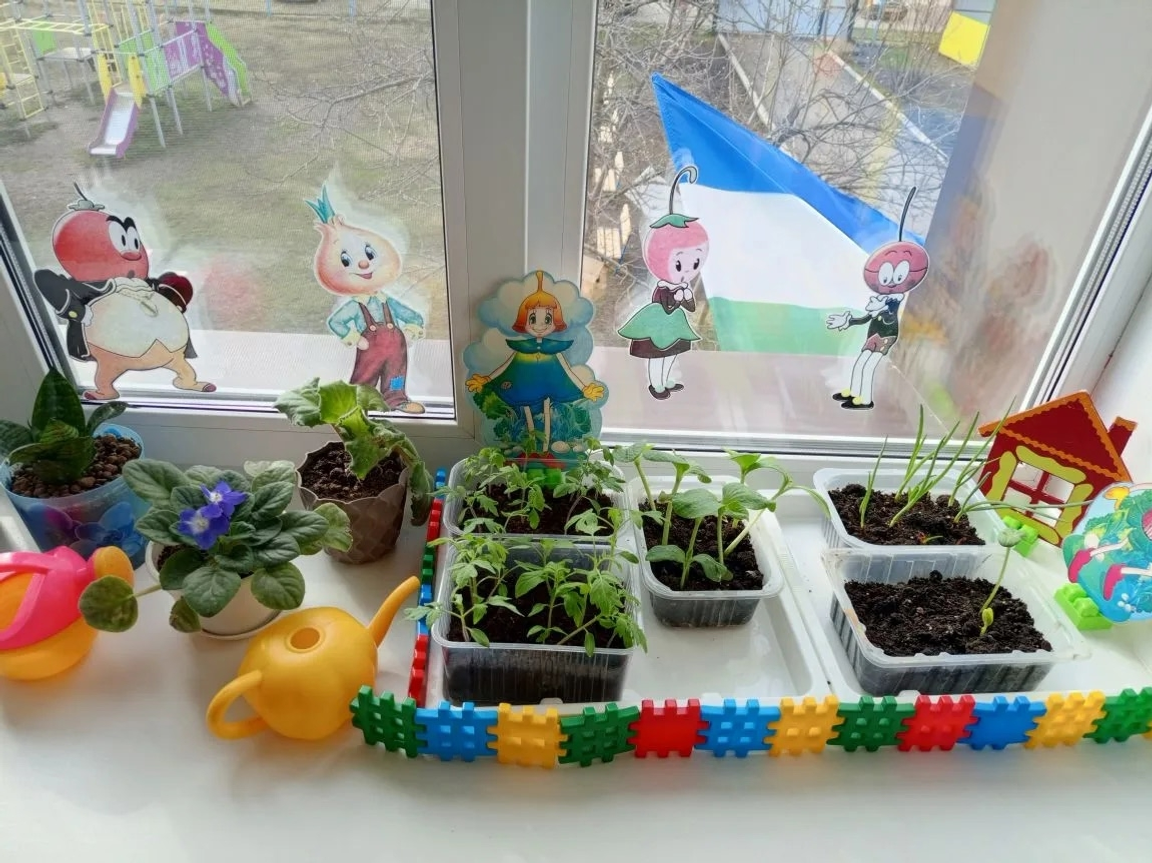 В детском саду Уфимского района выращивают огород на окне