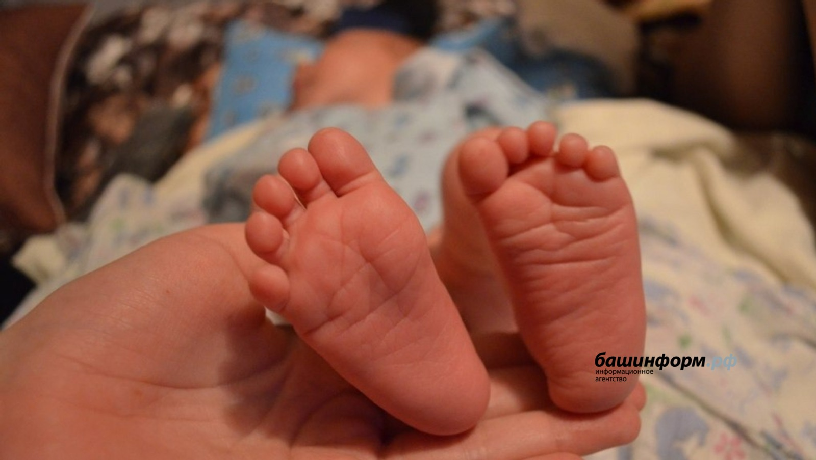 В Башкирии появились на свет Шанэль и Тимран