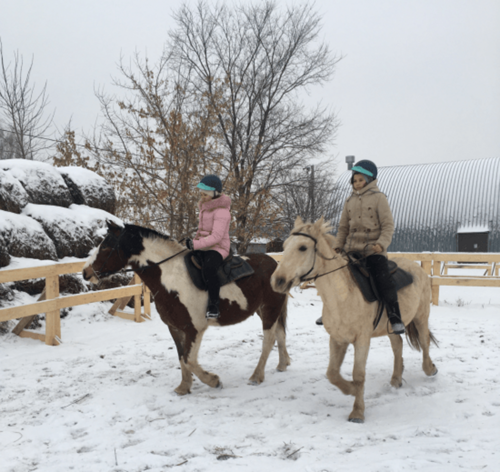 В Башкирии поправить здоровье при помощи иппотерапии помогут в конном клубе «Грация»