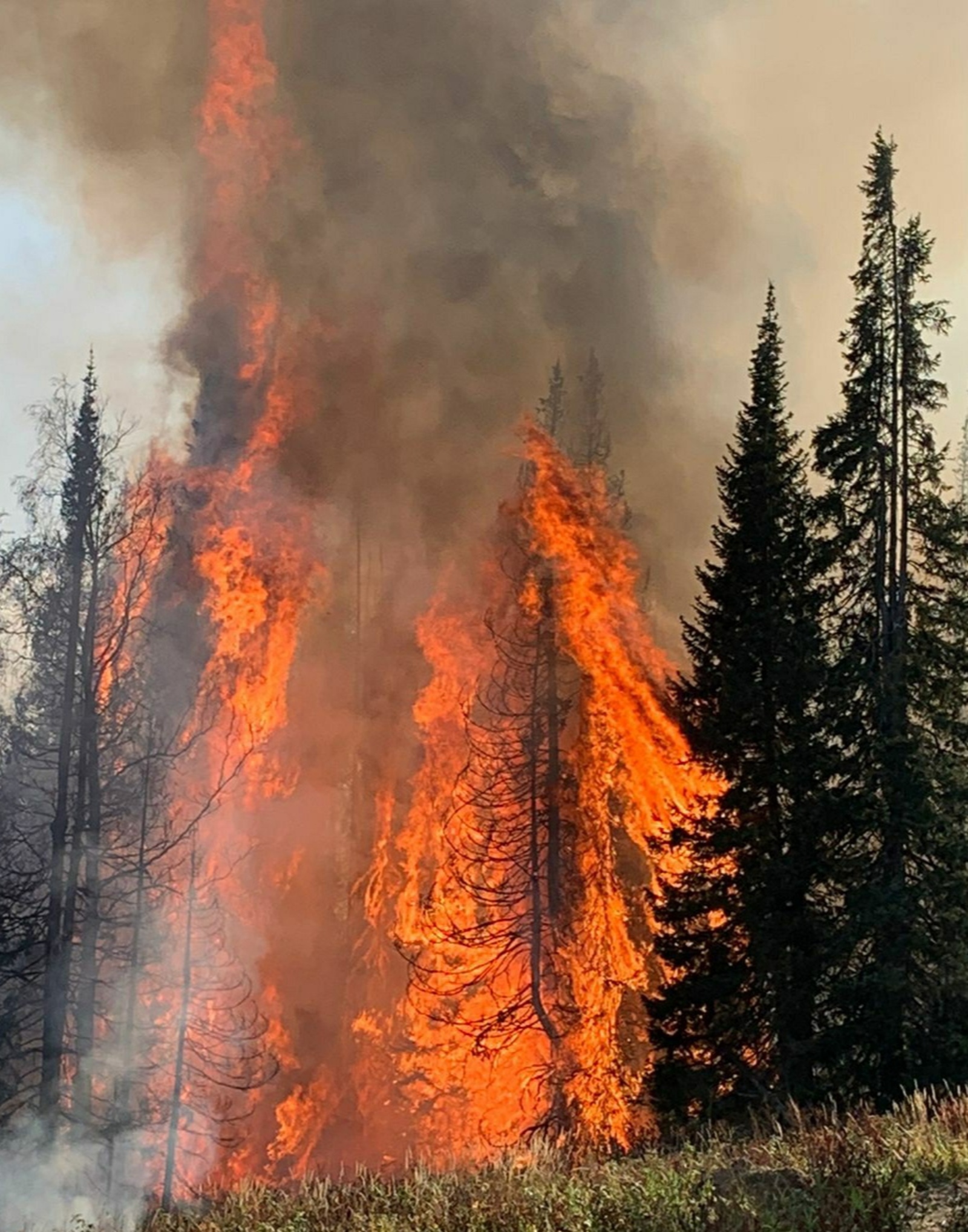 Глава Белорецкого района Башкирии попросил помощь в сдерживании лесного пожара