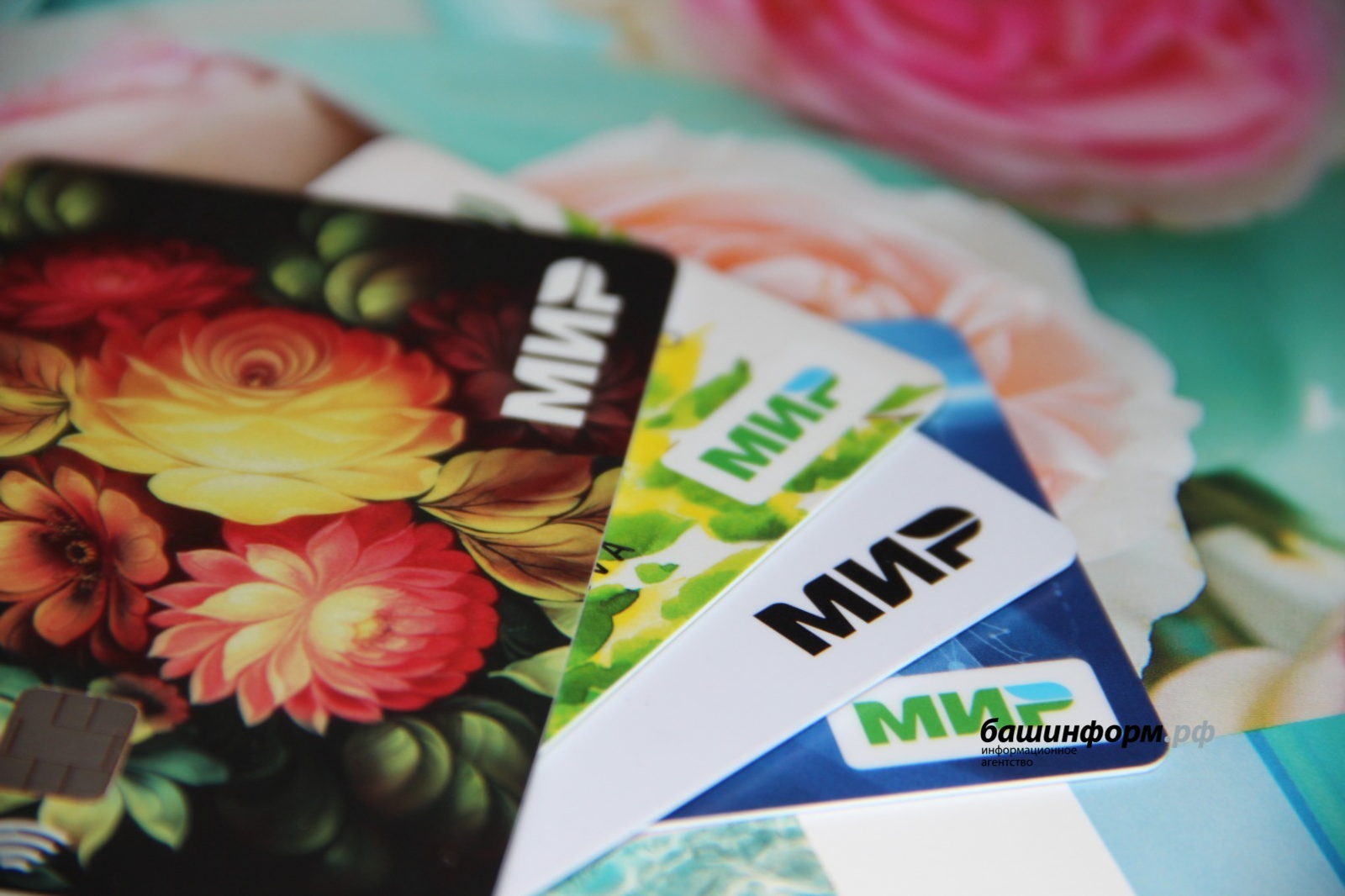 Спрос на кредитные карты в Башкирии снизился в мае