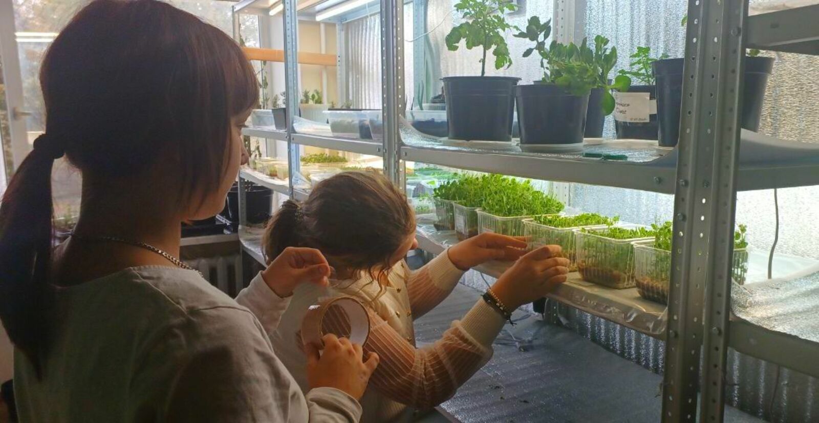 В школе имени С.С. Ильина села Жуково работает агрокласс