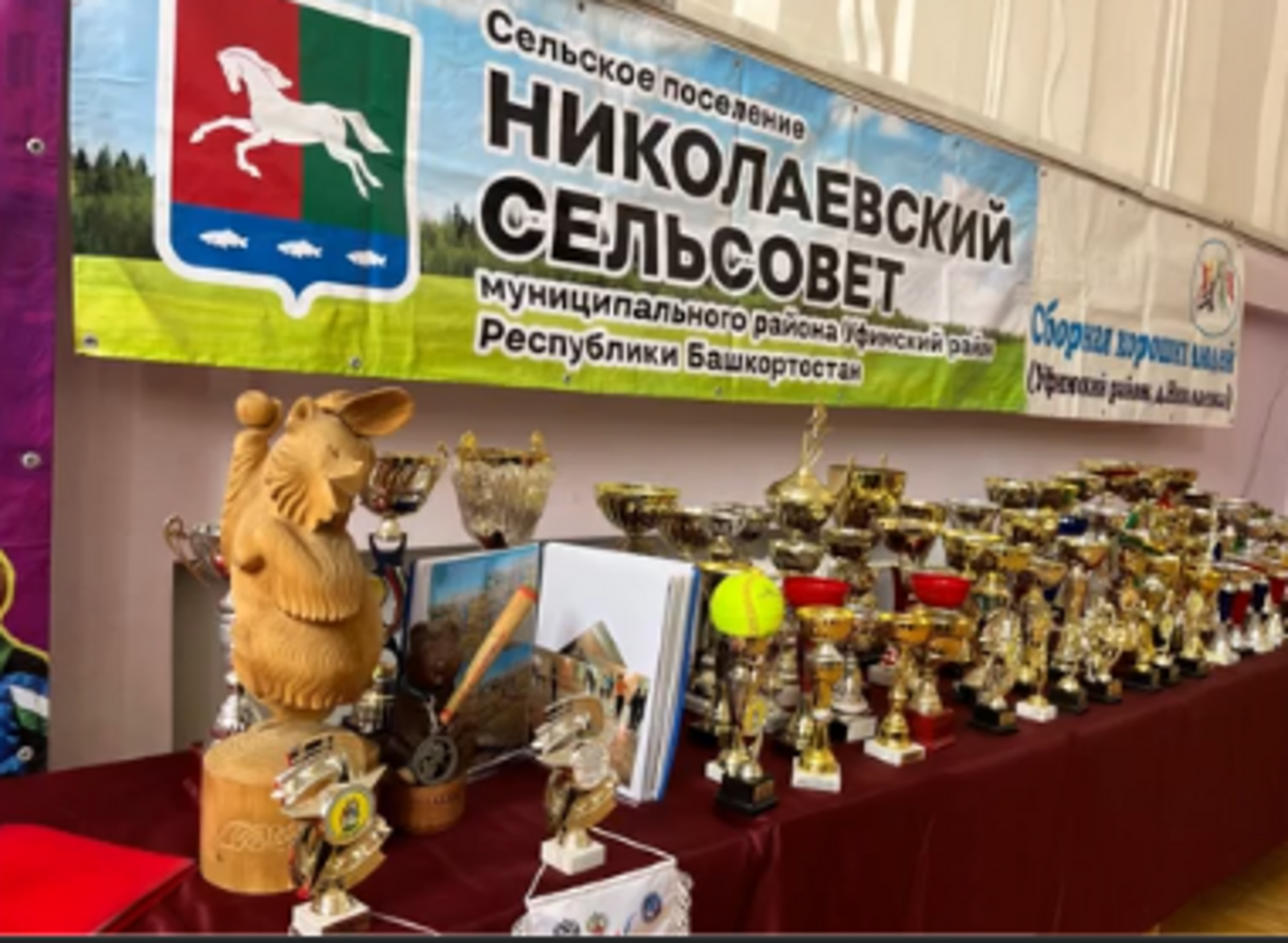 В Уфимском районе прошел масштабный праздник спорта