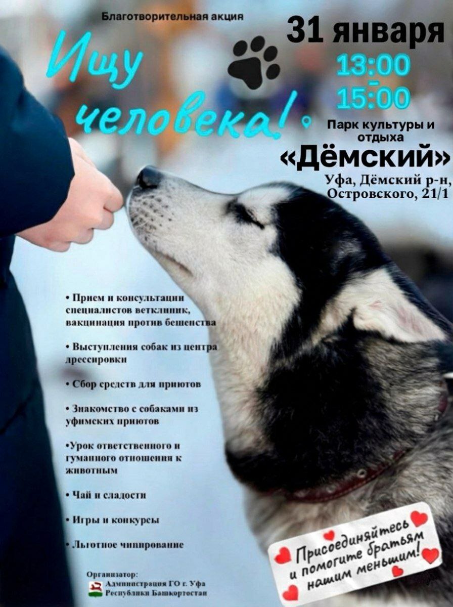 В Уфе состоится этап благотворительной акции «Ищу человека»