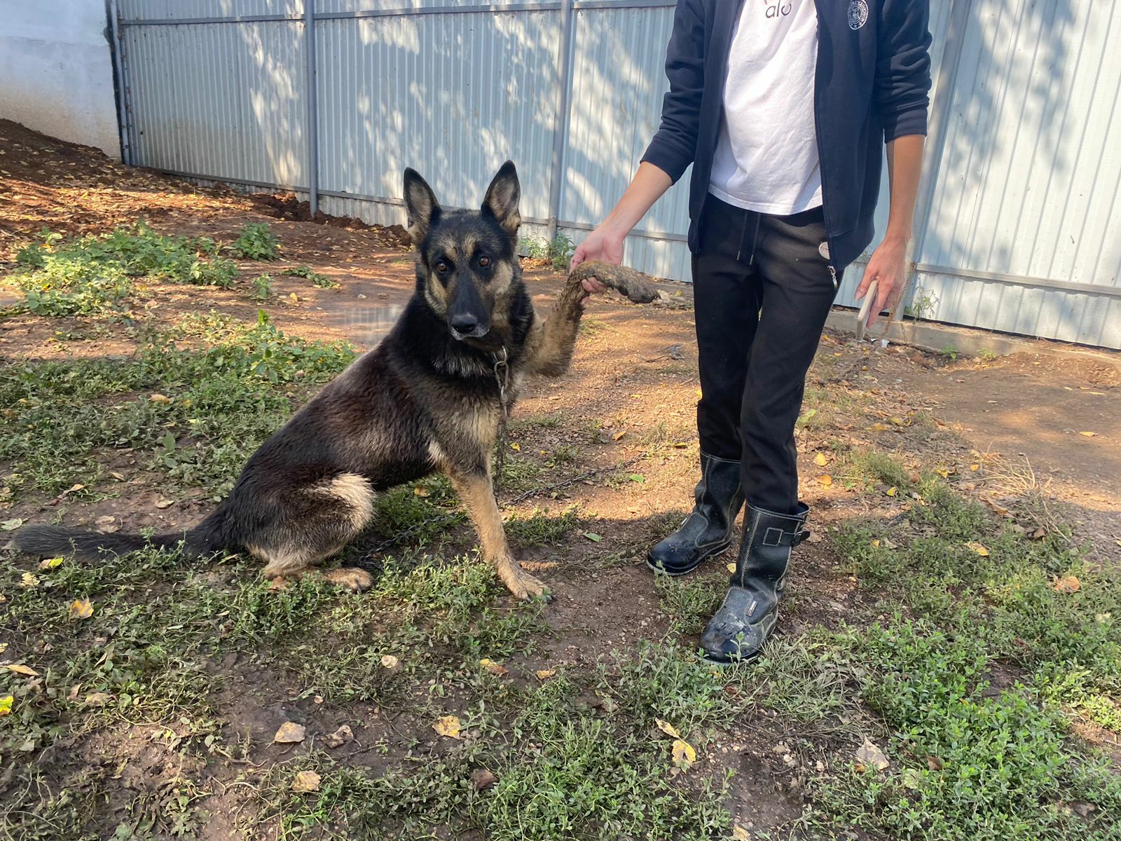 Редакция газеты «Уфимские нивы» запускает акцию «Дом для Берты»