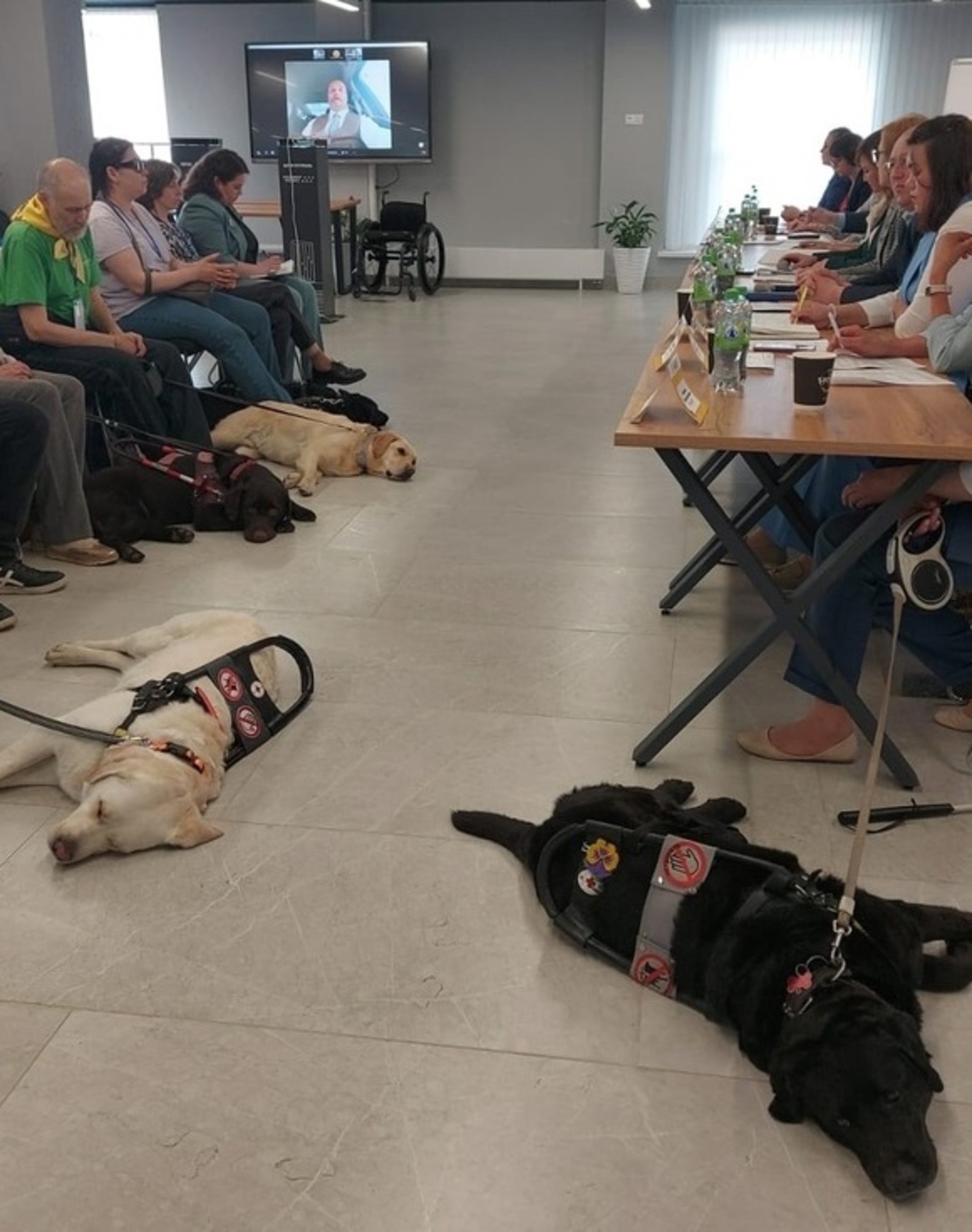 В межвузовском кампусе Уфы состоялась встреча владельцев собак-поводырей
