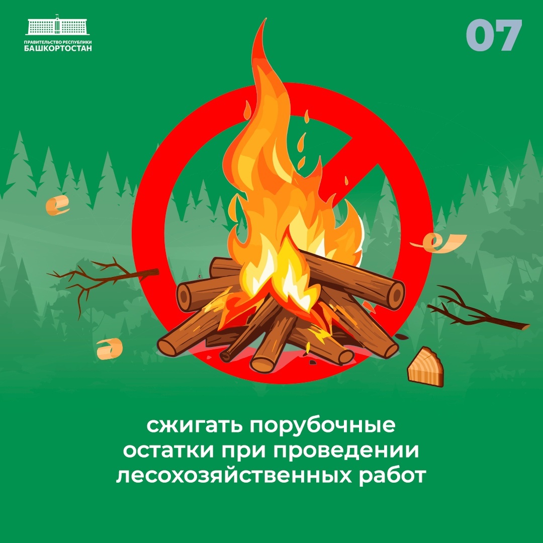 На территории лесного фонда Башкирии начался пожароопасный сезон