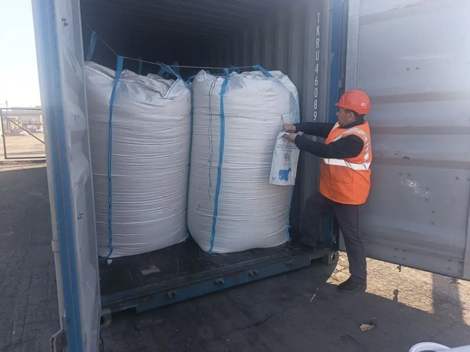 Башкирия совершила первый экспорт продовольственного овса в Китай