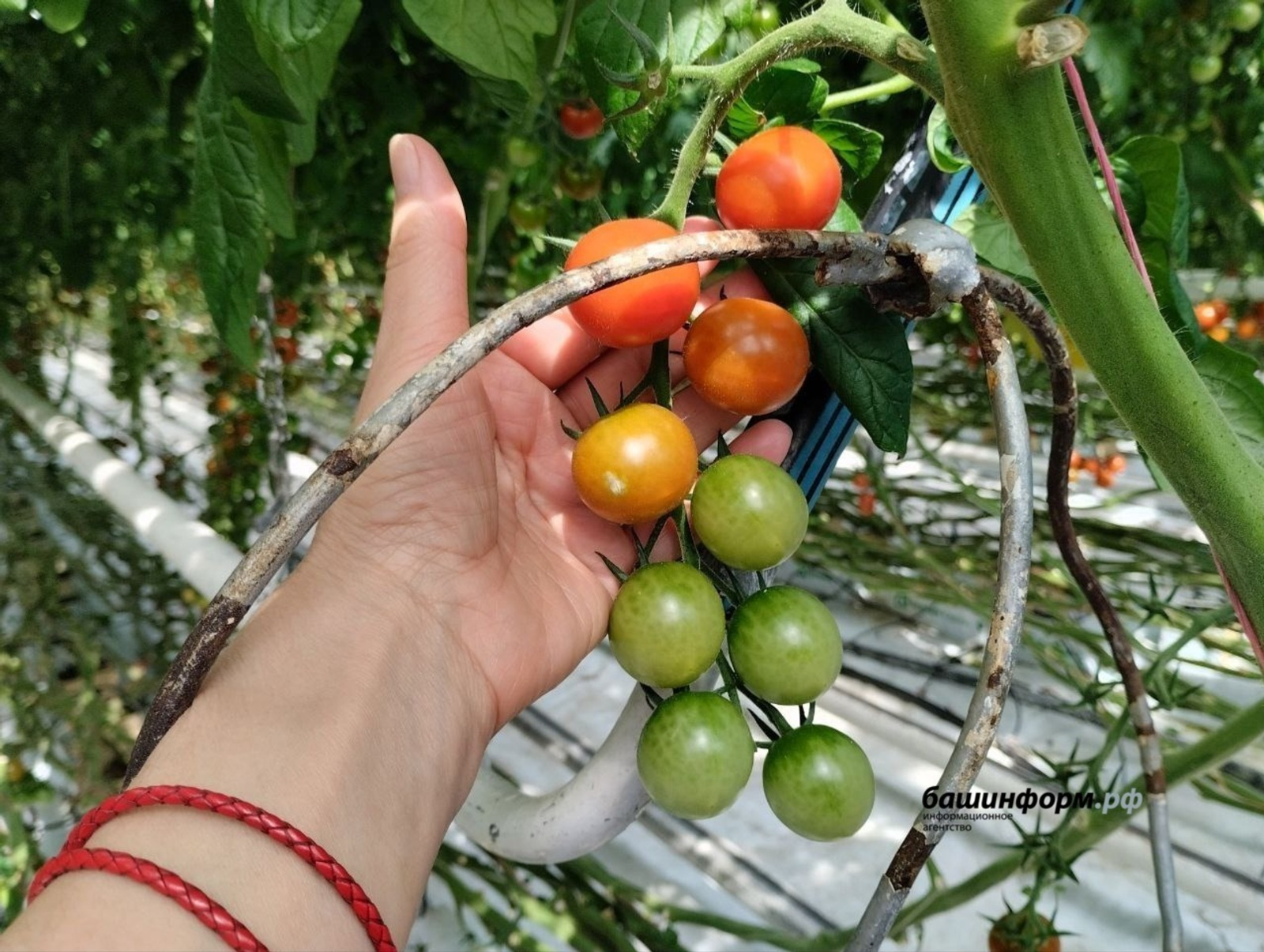 В Башкирии обновили план приватизации госимущества на 2026 год