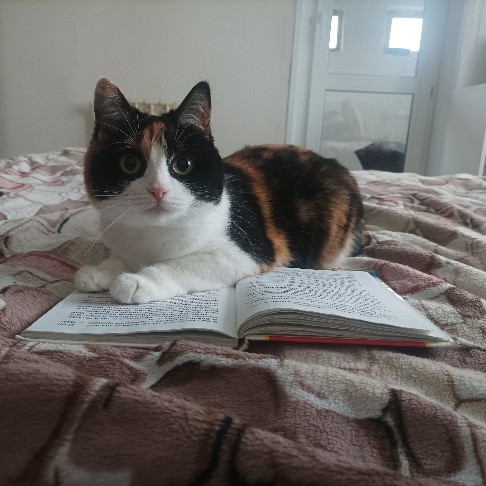 Врач из Башкирии рассказала об опасности сквозняков и важности витамина D