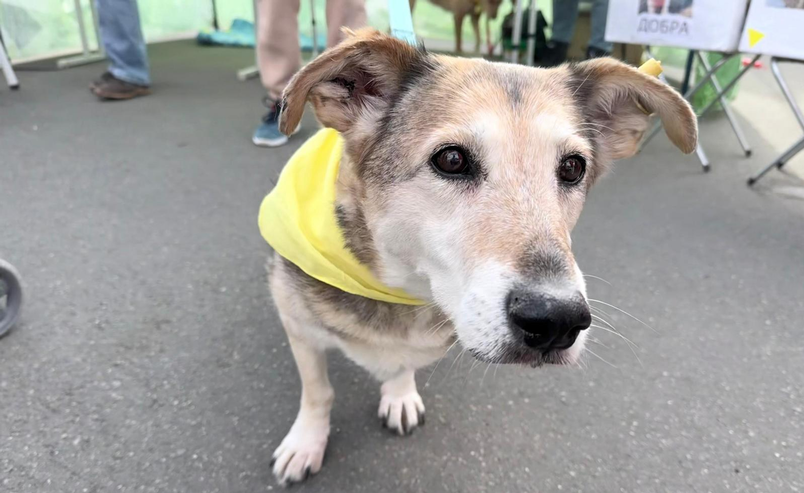 В Уфе пройдёт благотворительная акция «Ищу человека»