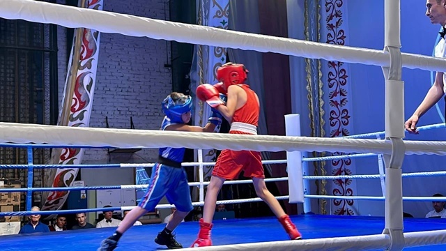 В Уфимском районе завершились республиканские соревнования по боксу